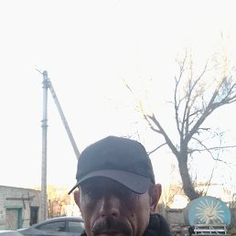 ������, ������, 44 ����