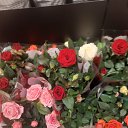 ���� Svetorada, ��������� - ��������� 5 ��� 2025 � ������ ������ ��������