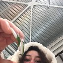 ���� �����, ������, 20 ��� - ��������� 25 ����� 2024 � ������ ���� ����������