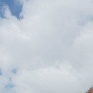 ����, 58 ���, ������