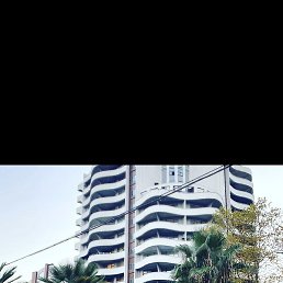 ����, ������, 36 ���