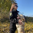  Moonlight,  -  12  2025    