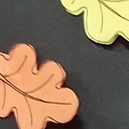 ��������, �����-���������, 52 ����