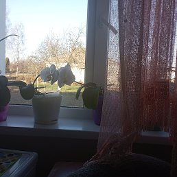 ���� �������, ������, 57 ��� - ��������� 21 ������ 2023