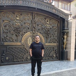 , 43, 