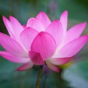 ���� Arhitector, ���������, 41 ��� - ��������� 12 ������� 2024 � ������ ���� ����������