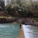 ���� ������, �����-���������, 33 ���� - ��������� 10 ������� 2025