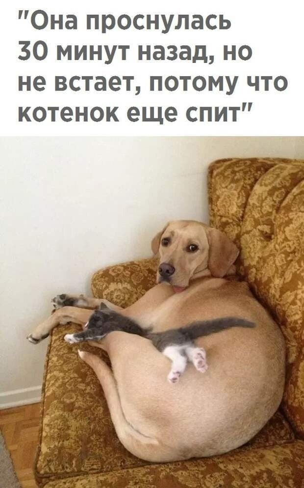  - 17  2025  16:02