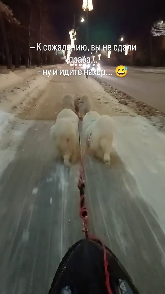 ��� ����? �� ���� - 2