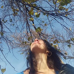 �������, �����, 46 ���