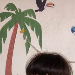 , 38, 