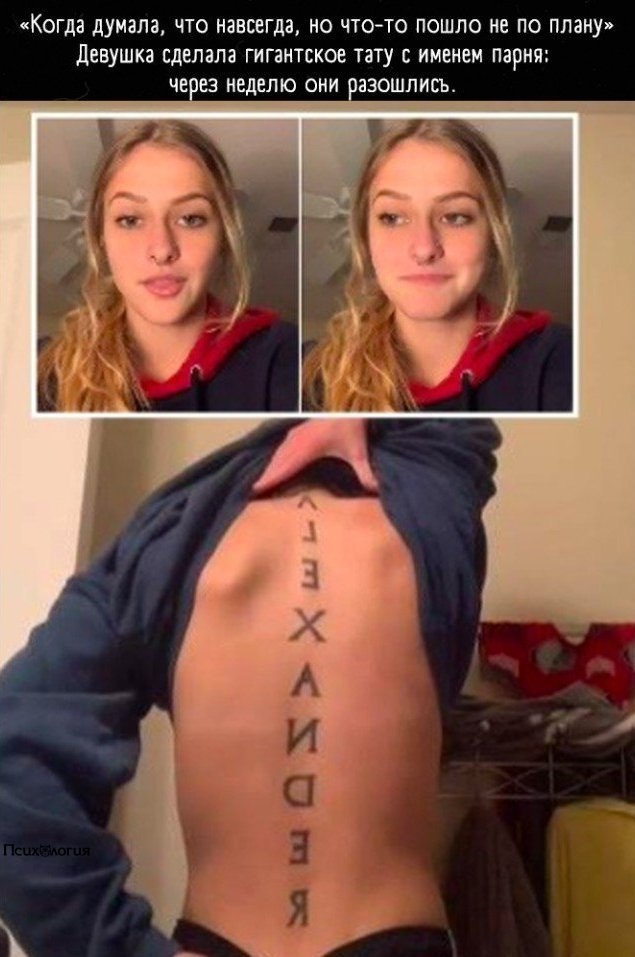 �������� ���������