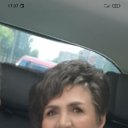 ���� ���������, ���������� ����� - ��������� 13 ������� 2024 � ������ ���� ����������