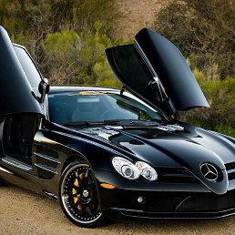 ���� ����, ������, 22 ���� - ��������� 14 ������� 2023