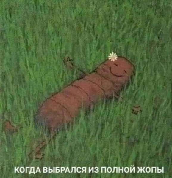 ,  .
