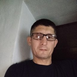 ���� �����, �����, 43 ���� - ��������� 13 ����� 2026