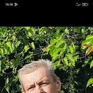 ��������, 54 ����, ���������