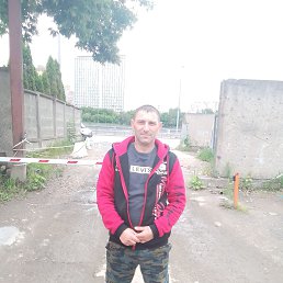 , 41, 