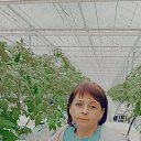 ���� �������, ���������, 39 ��� - ��������� 23 ������ 2024 � ������ ���� ����������