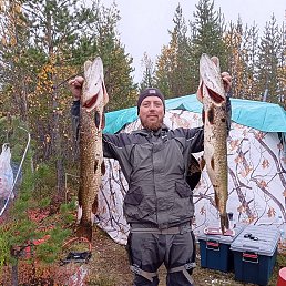 ����, 38 ���, ��������