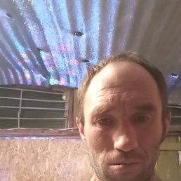 , 43 , 