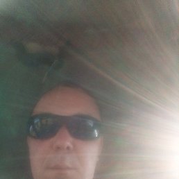 ������, 38 ���, ��������