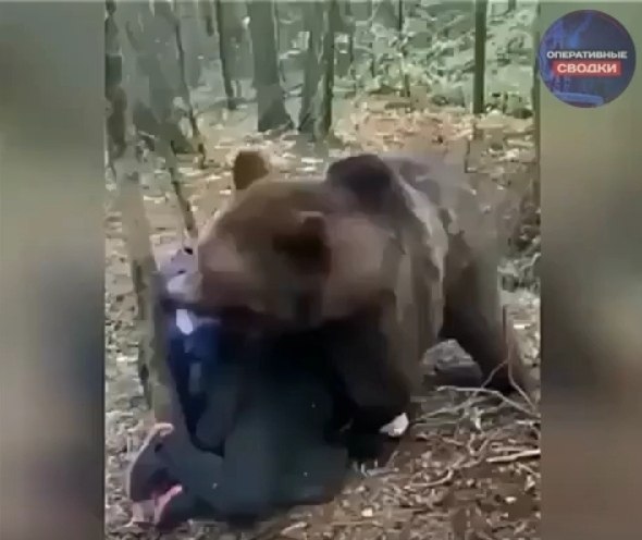 � ����������� ���� ���� ������ ��������� ������� � �� ������ �������� ������ ����� � ���� ������. ... - 2