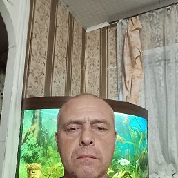 , 48, 