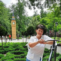 ������, ����������, 55 ���