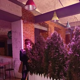 ������, ������