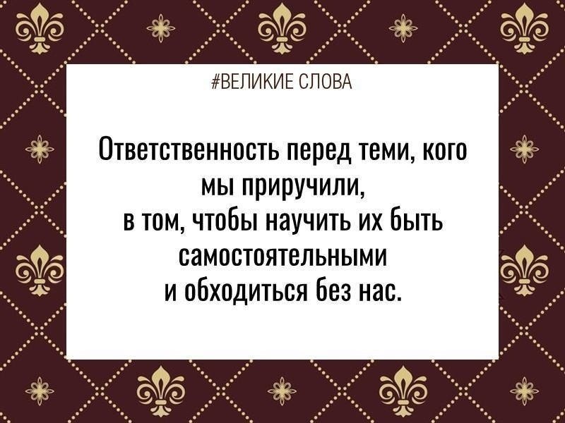 ������� ����� | ������, ����� � �������� - 14 ������ 2025 � 11:40