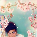 ���� �����, ������, 67 ��� - ��������� 23 ������� 2024