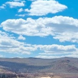 ���� ������, ����, 48 ��� - ��������� 5 ������� 2026