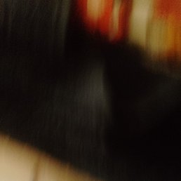 ���� ������, ����-���������, 52 ���� - ��������� 31 ������� 2025