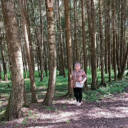 ���� ����, �����-���������, 49 ��� - ��������� 5 ���� 2024