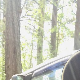 ������, �����-���������, 49 ���