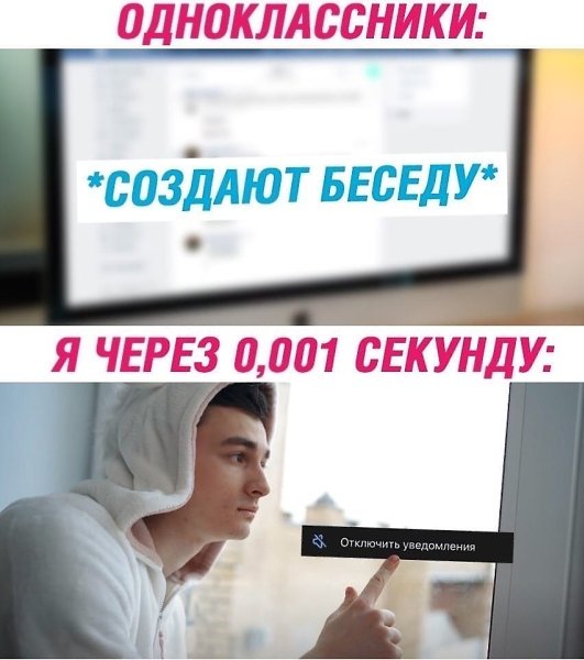 ? ,  ! - 24  2024  10:25