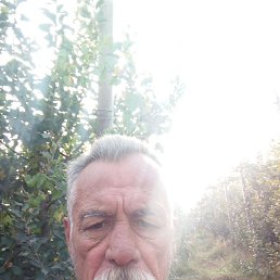 �����, �����������, 64 ����