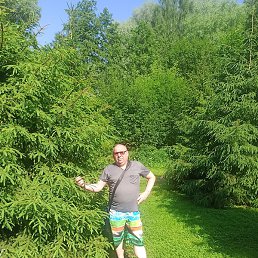 ������, ������, 56 ���