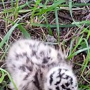 ���� ������, ������������ - ��������� 10 ������� 2026 � ������ ������ ��������