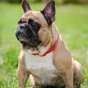 ���� �����, ������ ��������, 56 ��� - ��������� 8 ������ 2026 � ������ ���� ����������