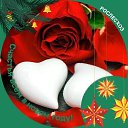  ,  , 28  -  27  2025