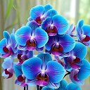 ���� �����, ������ - ��������� 10 ������� 2025 � ������ ������ ��������