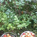 ���� ����, �����-��������� - ��������� 18 ������ 2025 � ������ ���� ����������