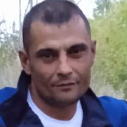 �����, �����������, 44 ����