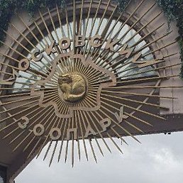 ����, �����������, 53 ����