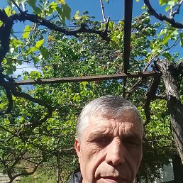 ���� �������, �������, 58 ��� - ��������� 12 ������ 2023