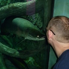 ���� �����, ������, 48 ��� - ��������� 2 ������� 2025