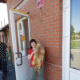 ���� ��� ����������, ������, 53 ���� - ��������� 30 ���� 2024