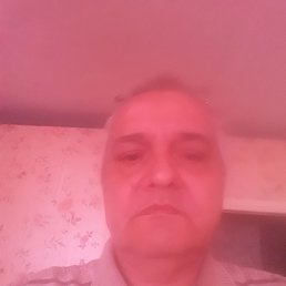 , 54, 